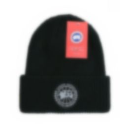 Дизайнерская вязаная шапка унисекс, популярные зимние шапки, шапка с надписью «Гусь», теплые шерстяные шапки, зимние лыжи, холодная шапка на открытом воздухе, 17 цветов