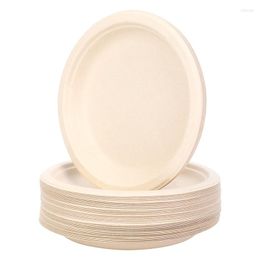 Plates 100 Pack 7In Compostable Disposable Round Bagasse Paper Biodegradable Sugarcane Fibre