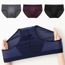 Underpants Mesh Underwear Men Briefs Sexy Man Panties For Male Brief Ice Silk Pouch Plus Breathable Triangle Pants Knickers