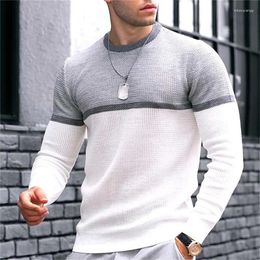 Men's Polos 2023 Long-sleeved T-shirt Men's Crewneck POLO Shirt 20% Cotton 80% Polyester Simple Atmospheric Top Thickened