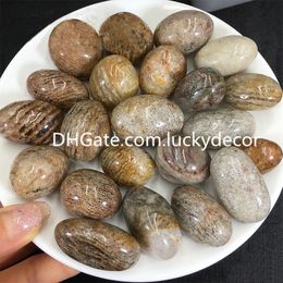 Thousand Layer Scenic Garden Quartz Tumbled Stones Crafts Polished High Vibration Multi-inclusions Crystal Tumblestone Tumble Natural Lodolite Phantom Gemstone