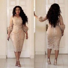 African Champagne Plus Size Mother of the Bride Dresses Lace Applique 3 4 Sleeves Tea Length Wedding Guest Gowns Formal Evening Dr275N