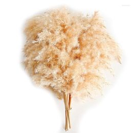 Decorative Flowers Fluffy Pompas Floral Natural Dried Pampas Grass Boho Decor Suitable For Outdoor Wedding Party ( Beige 20Pcs)