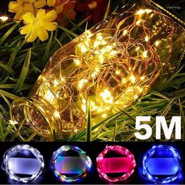 Strings LED Fairy String Lights Battery Powered Copper Wire Outdoor Waterproof Bottle Light For Bedroom Decoration