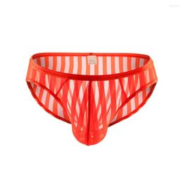 Underpants Men Sexy Striped Sheer Panties Low Waist Underwear Mesh Briefs Breathable Erotic Lingerie Gay Penis Big Pouch Knicker