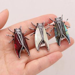 Brooches Natural Shell Insect For Women And Men Alloy Couple Animal Brooch Pins Suits Sweater Dress Hat Scarf