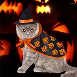 Cat Costumes Cosplay Suit For Costume Clothing Disfraz Gato Fancy Dog Halloween Pet Cape Hat Set Kawaii Accessoties Headwear