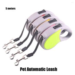 Dog Collars 5m Automatic Retractable Pet Leash Cat Roulette Collar Puppy Walking Running Training Traction Rope Lead Supplies