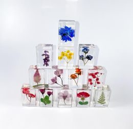 Pressed Flower Paperweight Science Discovery Real Flowers Specimen Collection Samples in Resin Paper Weights Cube for Kids Party Favours Clearly