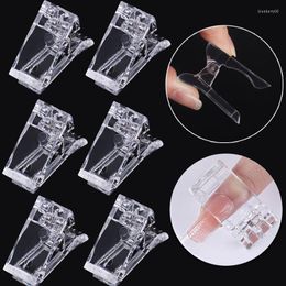 False Nails Acrylic Nail Clip Transparent Gel Quick Building Tips Clips Fingernail Extension UV Clamps Manicuring Art Builder Tools Set