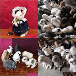 Other Event Party Supplies Taxidermy Stuffing Rabbit Teaching Specimen Collection Bunny Fur Home Decor 1Pcs Random T200909 Drop De Dhflv