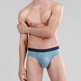 Underpants Men's Underwears Briefs 2023 Modal Male Panties Cozy Man Soft Grade Antibacterial Crotch Sexy Brand Shorts