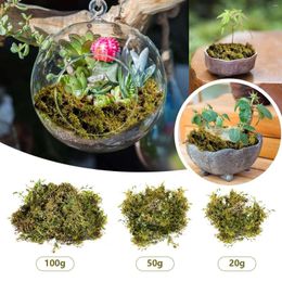 Decorative Flowers 20/50/100g Dried Forest Moss Multipurpose Natural Plant Preserved For DIY Crafts Manual Material Accessories