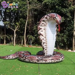 Custom Built advertising 3 meters height giant inflatable snake replica for event decoration Toys Sports BG-C0492 001