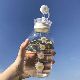 Water Bottles Glass with Straw Creative Daisy Frosted Transparent Cup Leakproof Portable Drinking a Sealing Cap Lid 230302
