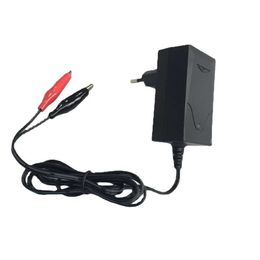 Cross-border dedicated 12V 1A lead-acid battery charger 13.8V 1000mA SLA AGM GEL combination