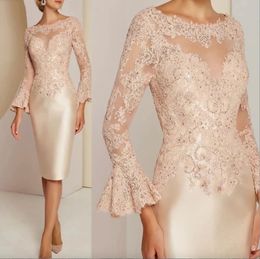 Elegant Appliuqed Lace Mother Of The Bride Dresses Sheer Neck Long Sleeves Knee Length Short Women Evening Party Gowns Sheath Wedding Guest Dress Plus Size