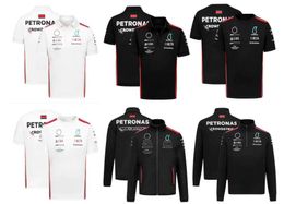 Men's T-shirts F1 Racing Jersey Summer Team Polo Shirt Same Style Custo