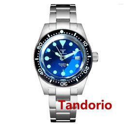 Wristwatches Tandorio 41mm AR Domed Sapphire Glass Mother Of Pearl Dial Automatic NH35A Movement 300m Diving Men's Watch Luminous 120