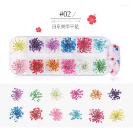 Nail Art Decorations 3D Dried Flower Decoration Natural Floral Sticker Mixed Dry DIY Decals Jewelry UV Gel Polish Manicure