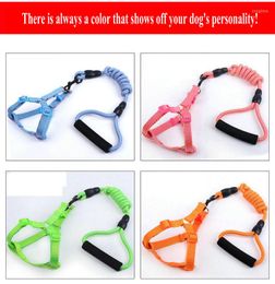 Dog Collars Pet Leash Wholesale Plain Nylon Stitched Leather P Chain Collar Integrated Walking