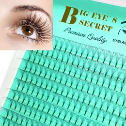 False Eyelashes Premade Fans 0.07/0.10mm Thickness 3D 4D 5D 6D 7D Volume Lash Mink Handmade Individual Eyelash Extensions