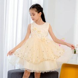 Girl Dresses Skirt 2023 Lace Dress Net Yarn Cute Princess