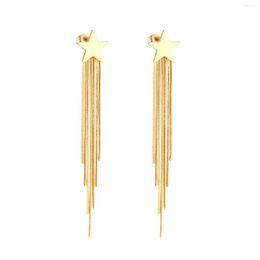 Hoop Earrings 2023 Design High Polish Stainless Steel Round Square Star Shape Drop Earings Women Girl Classic Style Tassel Earring Jewelry