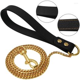 Dog Collars Gold 316L Stainless Steel Snake Chain Traction Rope All-Weldedainlesseel Pet Collar