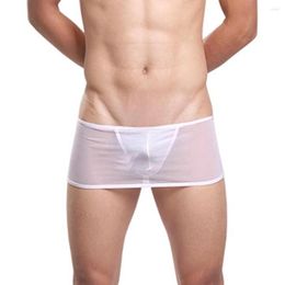 Underpants Sexy Man Underwear Transparent Ultra-Thin Erotic Temptation Thong Seductive Skirt T-Pant Breathable Male Panties