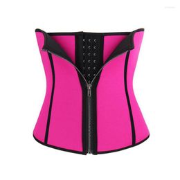 Women's Shapers Adjustable Hook Waist Trainer Slimming Belt Corset Zipper Cincher Body Shaper Belly Tummy Abdomen Control Burn Fat