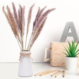 Decorative Flowers 15 Pcs DIY Natural Dried Reed Flower Arrangement Pampas Grass European Modern Home Decoration Party Wedding