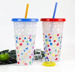 Cups Saucers 5 Pieces 710ml Reusable Plastic With Lid And Straw Colour Changing Food Grade PP Sport Cold Water Bottle