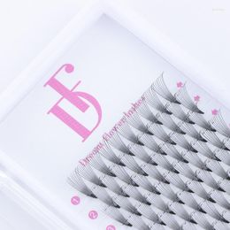 False Eyelashes 0.07mm Premade Volume Fans 3D 5D 6D 8D 10D Individual Lashes Extension Pre Made Fan Eyelash