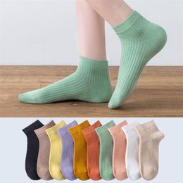 Women Socks Summer Thin Breathable Candy Color Cotton Short Deodorant Striped Colorful Ladies Japanese Style Kawaii