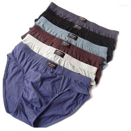 Underpants 5PCS/Lot Sexy Men Underwear Briefs Cotton Pure Solid Mens Brefs Cuecas Brief Bikini Under Wear Man Srting