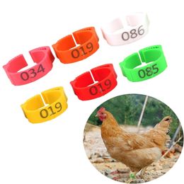 Small Animal Supplies 100 Pcs 6 Color Adjustable Poultry Foot Rings Inner Diameter Size 224cm Chicken Flexible Retractable 230307