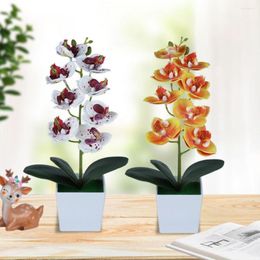 Decorative Flowers Artificial Flower Bright-colored PVC Fake Handmade Butterfly Orchid Display Handcraft For Home
