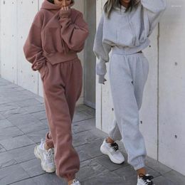 Women's Two Piece Pants 2 Pcs/Set Fall Hoodie Set Loose Elastic Waist Long Sleeves Hooded Solid Colour Warm Thick Drawstring Women Winter