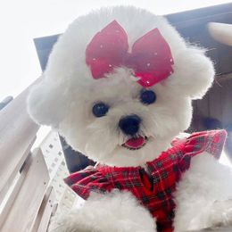 Pet dress ins style red plaid dog apparel skirt stand collar Christmas pet clothes dog