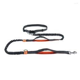 Dog Collars Running Belt Pet Bungee Leashes Reflective Dogs Jogging Training For Medium Large Supplies Hands Free Leash Elastic