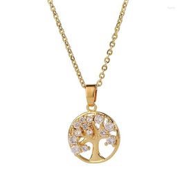 Pendant Necklaces Micro-zircon Jewelry Fashionable Gold Plated Clavicle Chain Tree Of Life Necklace Young Woman 1128