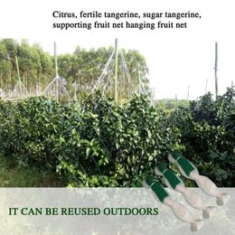 Garden Supplies Other Netting Heavy-Duty Plant Support Mesh Fruits Recyclable 2 100m Vegetables Reusable For Climbing Plants Rattan