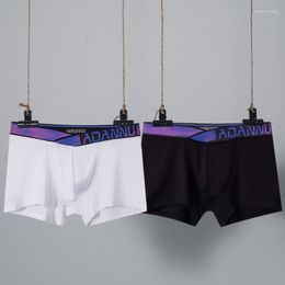 Underpants Hombre Calzoncillos Men Boxershort Underwear Sexy Panties Low Rise Comfort Breathable Boxer