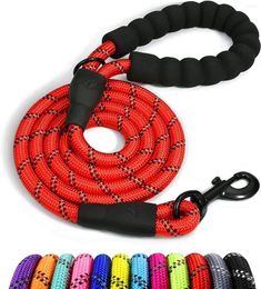 Dog Collars Selling 1.5m Durable Reflective Nylon Traction Rope Braided Climbing Lead Leash