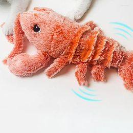 Cat Toys Interactive Lobster Toy USB Soft Flocking Kitten Catch Training For Indoor Flexible Playing Shrimp
