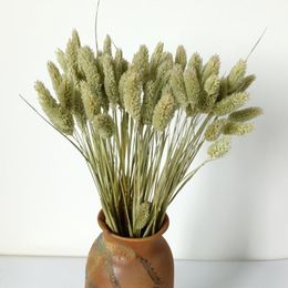 Decorative Flowers Dried Tail Grass Phalaris Canary For Wedding Decor & Wreaths