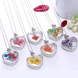 Pendant Necklaces Dried Flower Heart Glass Necklace Bohemian Multicolored Real Dry Locket For Women Christmas Year