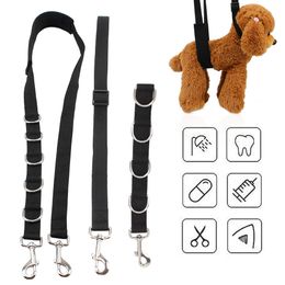 Cat Collars Leads Bathing Hair Cutting Harness Pet Traction Belt Dog Collar Grooming Strap Drings Band Adjustable 230309