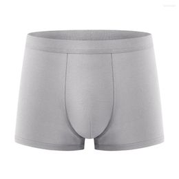 Underpants Mens Soft Boxer Shorts Modal Seamless Underwear Male U Convex Pouch Breathable Panties Comfortable Knicker